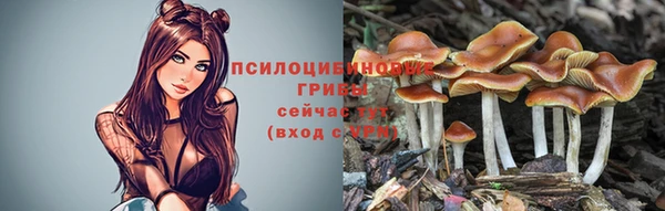 apvp Абдулино
