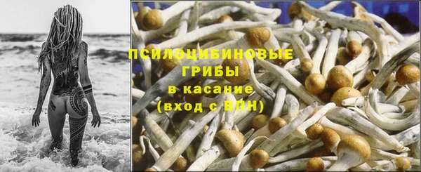 а пвп мука Алзамай