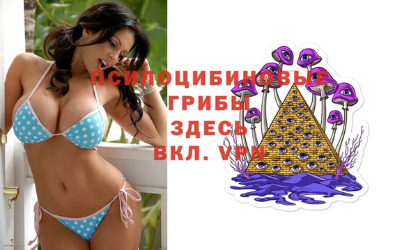 не бодяженный Абаза