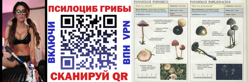 Псилоцибиновые грибы Magic Shrooms  Кораблино 